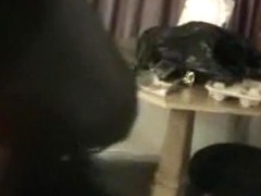 BBC Group-Sex with Groaning Cutie Double Dicked by Large Blacks
