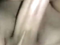 White cock filling my pussy