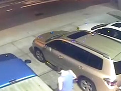 Desperate fillies relieving themselves behind their cars