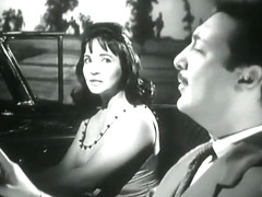 Shadia - Wife number 13