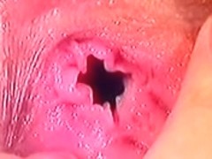 Moscou Dilettante 23