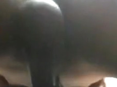 Pounding up in the dog as she squirts (looking up)