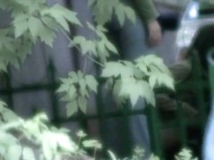 This is a silly footage of women pissing in the park