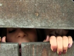 Pissing Sluts Suck Cock