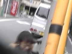 Fast and furious 2 - The return of top sharks, the sequel