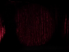 Hottest fetish, blowjob adult video with amazing pornstars Alexa Raye and Aiden Starr from Whipped.