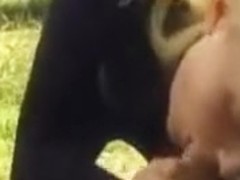 Blonde uk girl gives her man a blowjob, while he