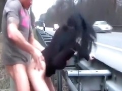 I saw two people banging next to the highway.