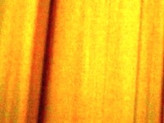 Gorgeous teens filmed pissing in bathroom