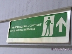 Ebony mistress toys caged beautiful ###