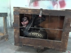 Caroline Pierce Caged