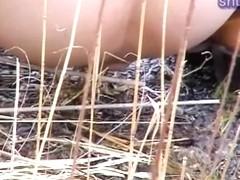 My spy camera captured an Asian babe pissing outdoors